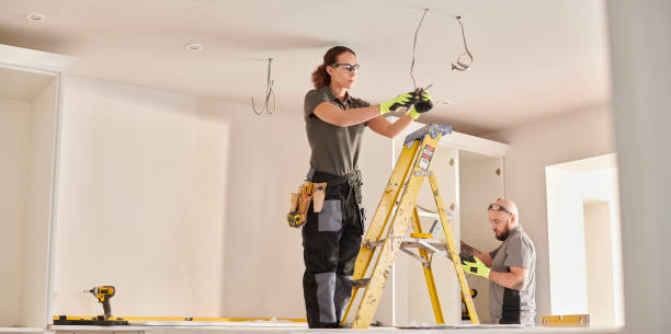 Best Electric Panel Repair  in West Sharyland, TX